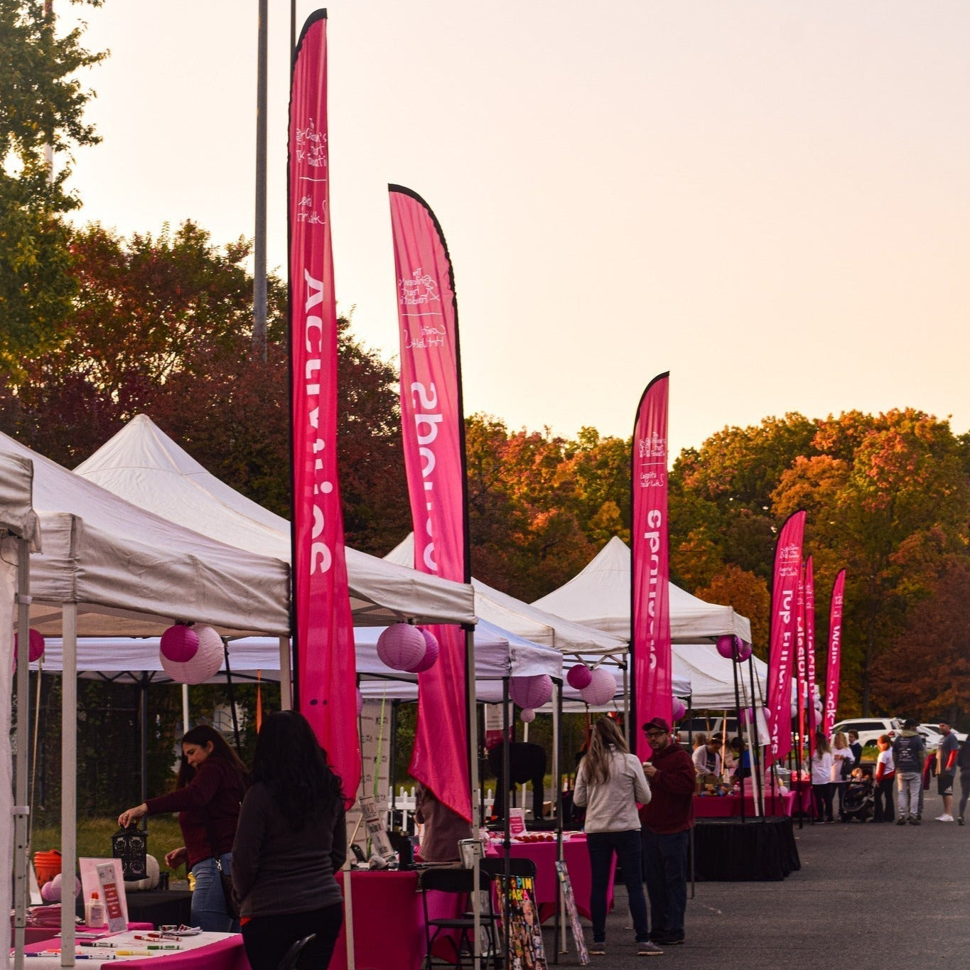 The Children’s Heart Foundation Walk DC